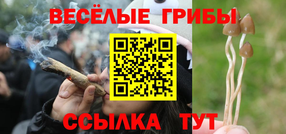 Псилоцибиновые грибы мицелий  Вход с VPN  цены наркотик  Верхняя Пышма  Псилоцибиновые грибы прущие грибы 